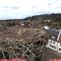 14_55-nest.jpg