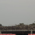 15_05-mast.jpg