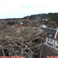 15_05-nest.jpg