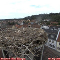15_10-nest.jpg
