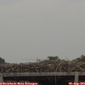 15_15-mast.jpg