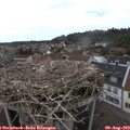 15_15-nest.jpg