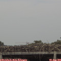 15_20-mast.jpg