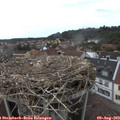 15_20-nest.jpg