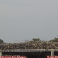 15_25-mast.jpg