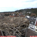 15_25-nest.jpg