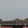 15_30-mast.jpg