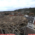 15_30-nest.jpg
