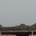 15_35-mast.jpg