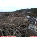 15_35-nest.jpg