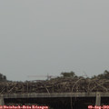 15_40-mast.jpg