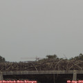 15_45-mast.jpg