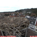 15_45-nest.jpg