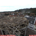 15_55-nest.jpg