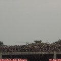 16_00-mast.jpg