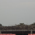 16_05-mast.jpg