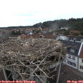 16_05-nest.jpg