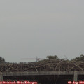 16_15-mast.jpg