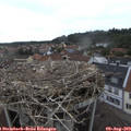 16_20-nest.jpg