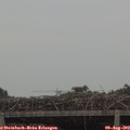 16_25-mast.jpg