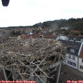 16_25-nest.jpg