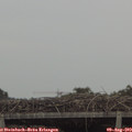 16_30-mast.jpg