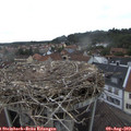 16_30-nest.jpg