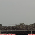 16_35-mast.jpg