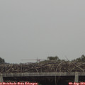 16_40-mast.jpg
