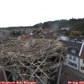 16_40-nest.jpg