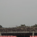 16_45-mast.jpg