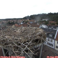 16_45-nest.jpg