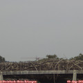 16_50-mast.jpg