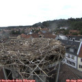 16_50-nest.jpg
