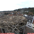 16_55-nest.jpg