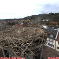 17_05-nest.jpg