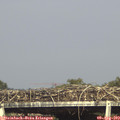 17_10-mast.jpg