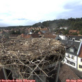 17_10-nest.jpg