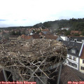 17_15-nest.jpg