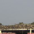 17_20-mast.jpg