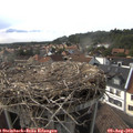 17_25-nest.jpg