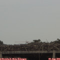 17_30-mast.jpg