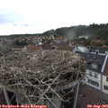 17_30-nest.jpg