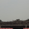 17_35-mast.jpg