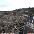 17_35-nest.jpg