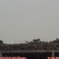17_40-mast.jpg