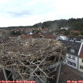 17_40-nest.jpg
