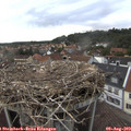 17_45-nest.jpg