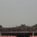 17_50-mast.jpg