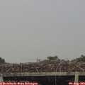 17_55-mast.jpg